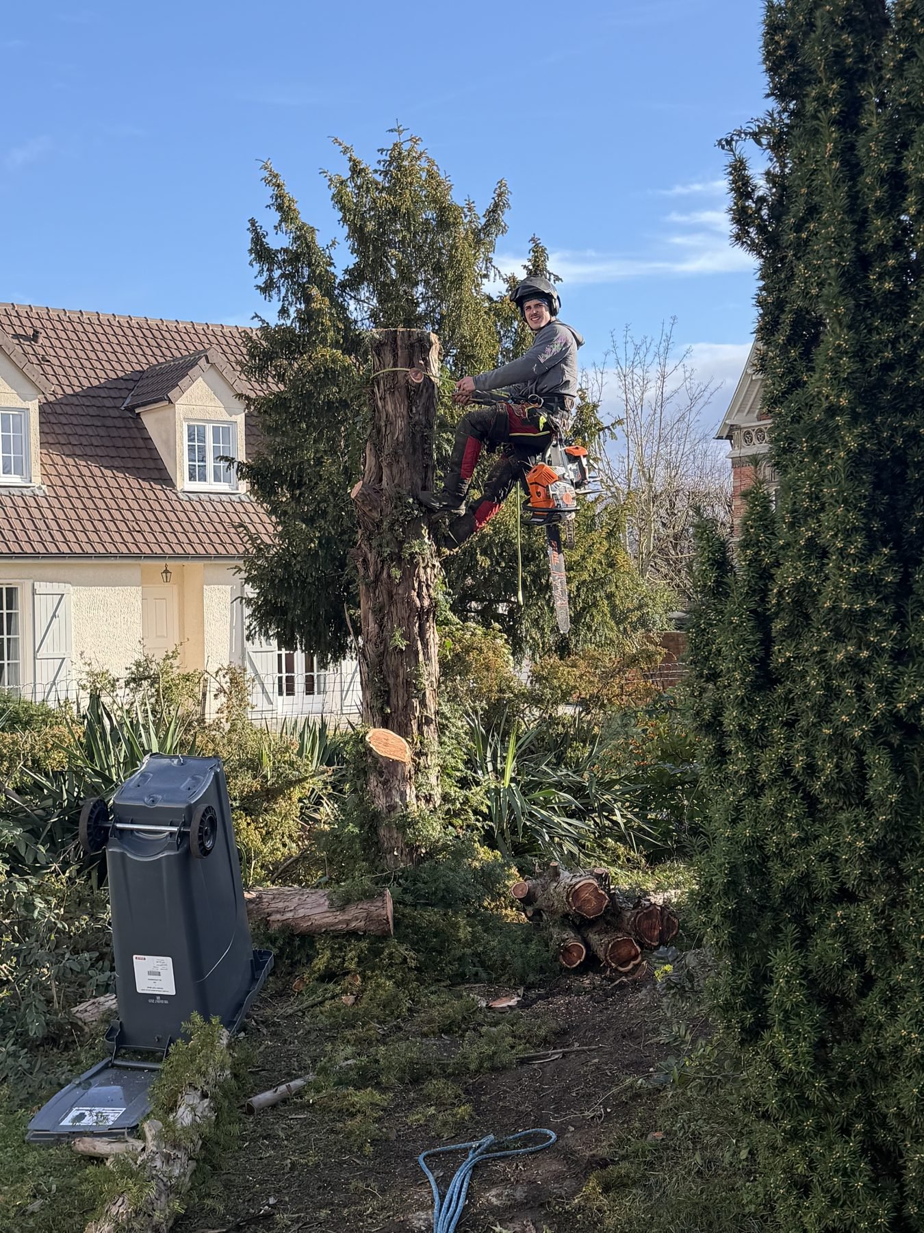 Démontage d'arbre par tronçons à Croissy-sur-Seine (78)
